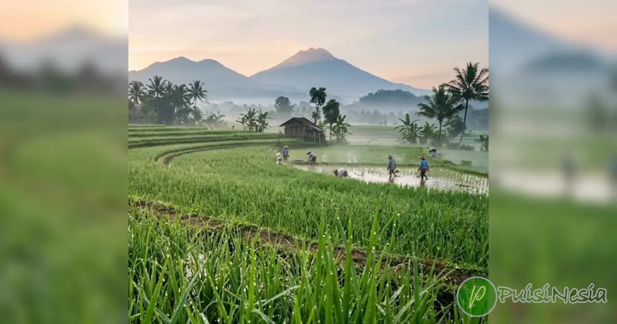 puisi tentang sawah