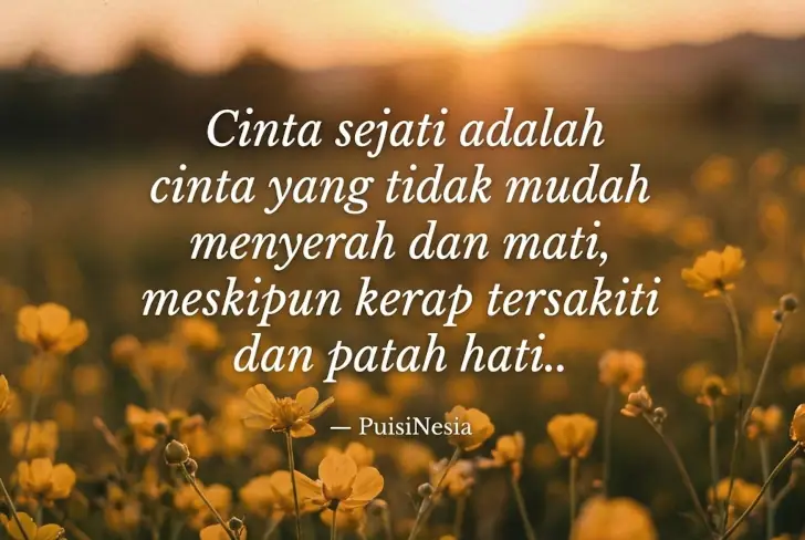 kata kata mutiara cinta sejati menyentuh hati